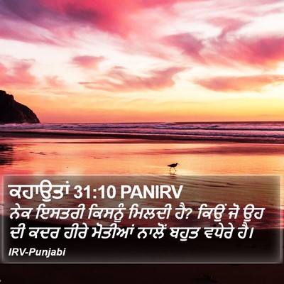 ਕਹਾਉਤਾਂ 31:10 PANIRV Bible Verse Image