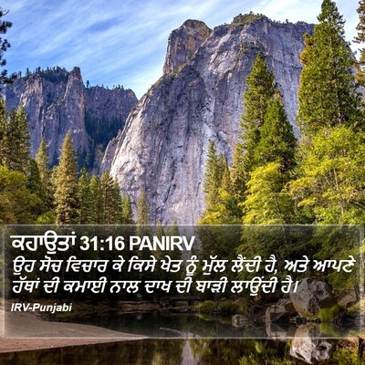 ਕਹਾਉਤਾਂ 31:16 PANIRV Bible Verse Image
