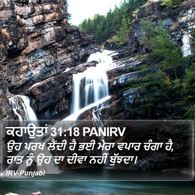ਕਹਾਉਤਾਂ 31:18 PANIRV Bible Verse Image