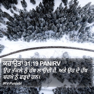 ਕਹਾਉਤਾਂ 31:19 PANIRV Bible Verse Image