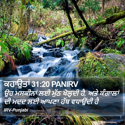 ਕਹਾਉਤਾਂ 31:20 PANIRV Bible Verse Image