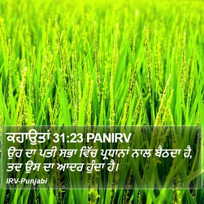 ਕਹਾਉਤਾਂ 31:23 PANIRV Bible Verse Image