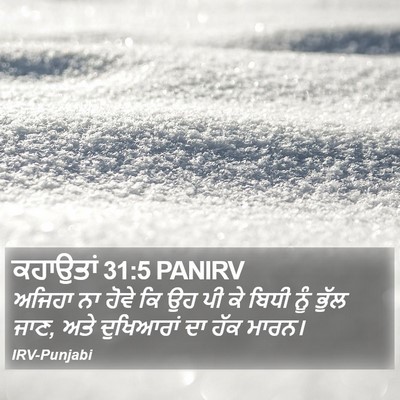 ਕਹਾਉਤਾਂ 31:5 PANIRV Bible Verse Image