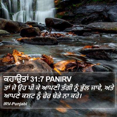 ਕਹਾਉਤਾਂ 31:7 PANIRV Bible Verse Image