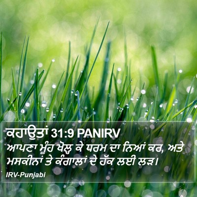 ਕਹਾਉਤਾਂ 31:9 PANIRV Bible Verse Image