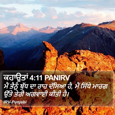 ਕਹਾਉਤਾਂ 4:11 PANIRV Bible Verse Image