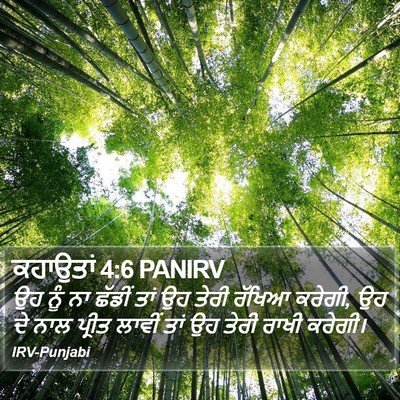 ਕਹਾਉਤਾਂ 4:6 PANIRV Bible Verse Image