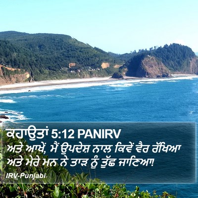 ਕਹਾਉਤਾਂ 5:12 PANIRV Bible Verse Image