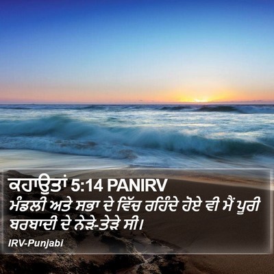 ਕਹਾਉਤਾਂ 5:14 PANIRV Bible Verse Image