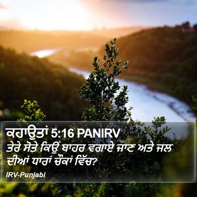 ਕਹਾਉਤਾਂ 5:16 PANIRV Bible Verse Image