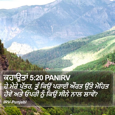 ਕਹਾਉਤਾਂ 5:20 PANIRV Bible Verse Image