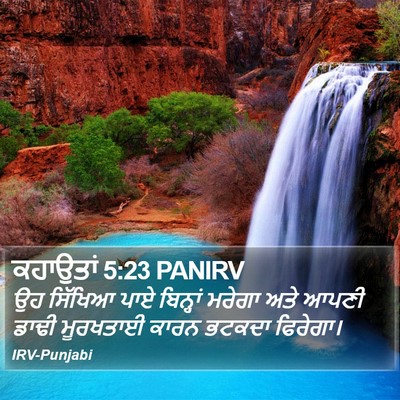 ਕਹਾਉਤਾਂ 5:23 PANIRV Bible Verse Image