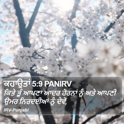 ਕਹਾਉਤਾਂ 5:9 PANIRV Bible Verse Image