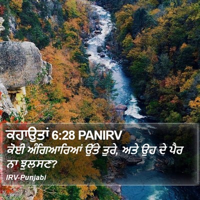 ਕਹਾਉਤਾਂ 6:28 PANIRV Bible Verse Image