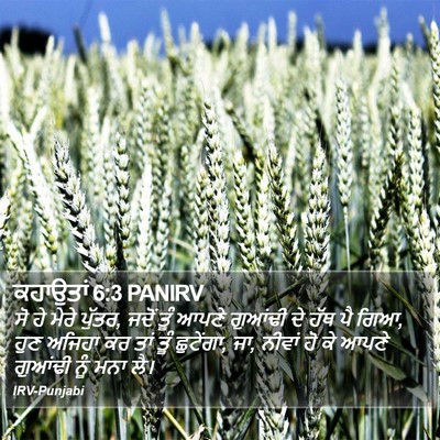 ਕਹਾਉਤਾਂ 6:3 PANIRV Bible Verse Image