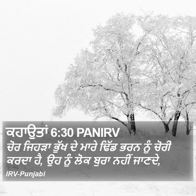 ਕਹਾਉਤਾਂ 6:30 PANIRV Bible Verse Image