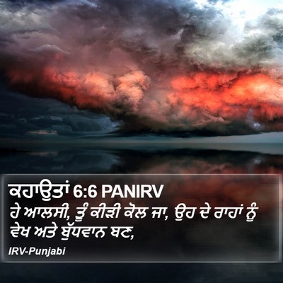 ਕਹਾਉਤਾਂ 6:6 PANIRV Bible Verse Image