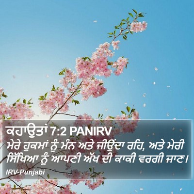 ਕਹਾਉਤਾਂ 7:2 PANIRV Bible Verse Image