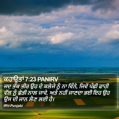 ਕਹਾਉਤਾਂ 7:23 PANIRV Bible Verse Image
