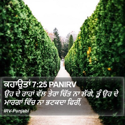 ਕਹਾਉਤਾਂ 7:25 PANIRV Bible Verse Image