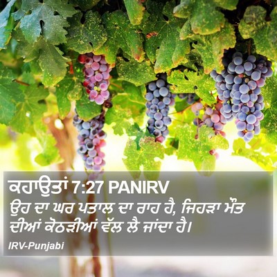 ਕਹਾਉਤਾਂ 7:27 PANIRV Bible Verse Image