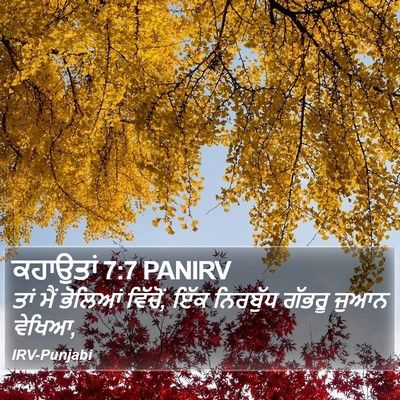 ਕਹਾਉਤਾਂ 7:7 PANIRV Bible Verse Image