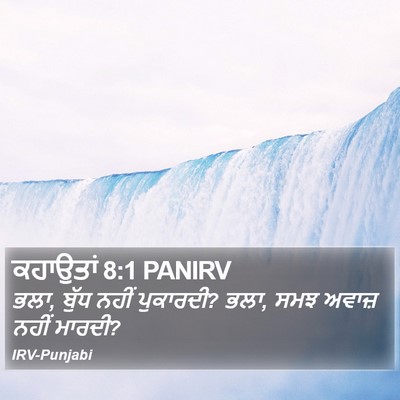ਕਹਾਉਤਾਂ 8:1 PANIRV Bible Verse Image