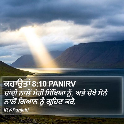 ਕਹਾਉਤਾਂ 8:10 PANIRV Bible Verse Image