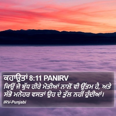 ਕਹਾਉਤਾਂ 8:11 PANIRV Bible Verse Image