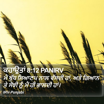 ਕਹਾਉਤਾਂ 8:12 PANIRV Bible Verse Image