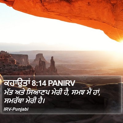 ਕਹਾਉਤਾਂ 8:14 PANIRV Bible Verse Image