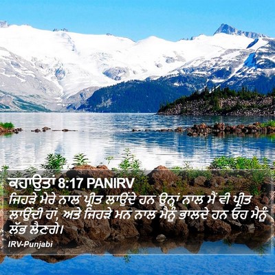 ਕਹਾਉਤਾਂ 8:17 PANIRV Bible Verse Image