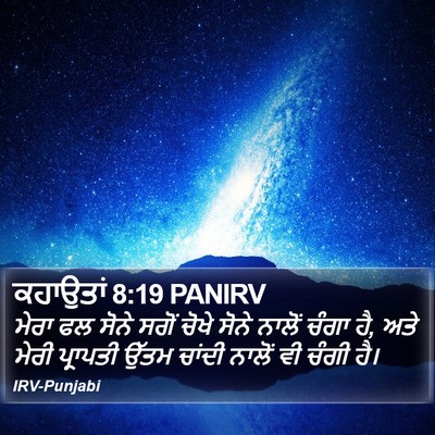 ਕਹਾਉਤਾਂ 8:19 PANIRV Bible Verse Image