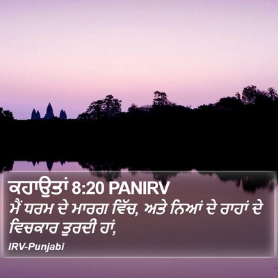 ਕਹਾਉਤਾਂ 8:20 PANIRV Bible Verse Image