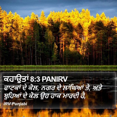 ਕਹਾਉਤਾਂ 8:3 PANIRV Bible Verse Image