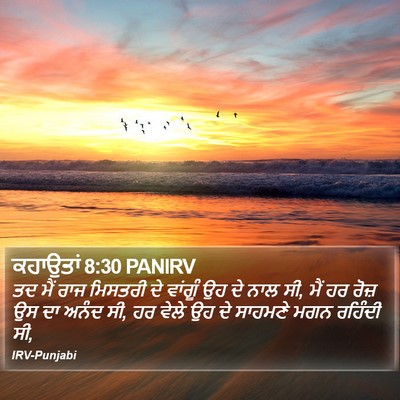 ਕਹਾਉਤਾਂ 8:30 PANIRV Bible Verse Image