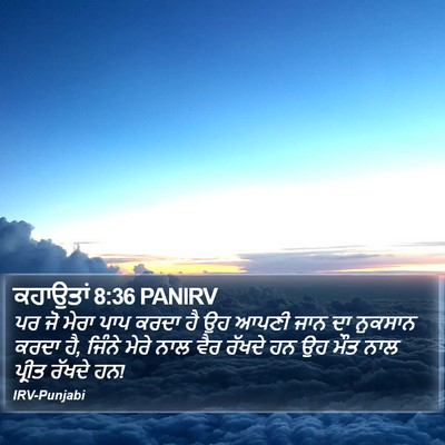 ਕਹਾਉਤਾਂ 8:36 PANIRV Bible Verse Image