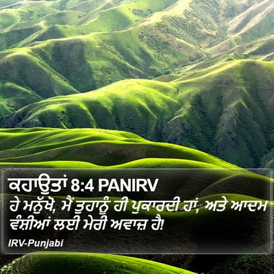 ਕਹਾਉਤਾਂ 8:4 PANIRV Bible Verse Image