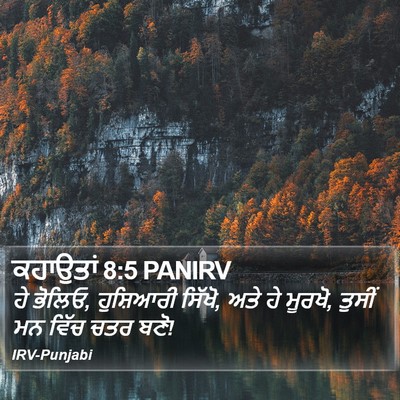 ਕਹਾਉਤਾਂ 8:5 PANIRV Bible Verse Image