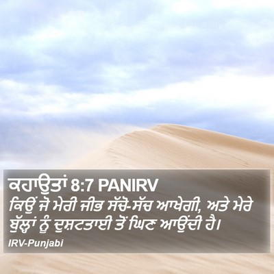 ਕਹਾਉਤਾਂ 8:7 PANIRV Bible Verse Image