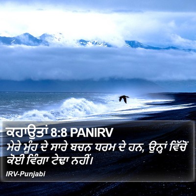 ਕਹਾਉਤਾਂ 8:8 PANIRV Bible Verse Image