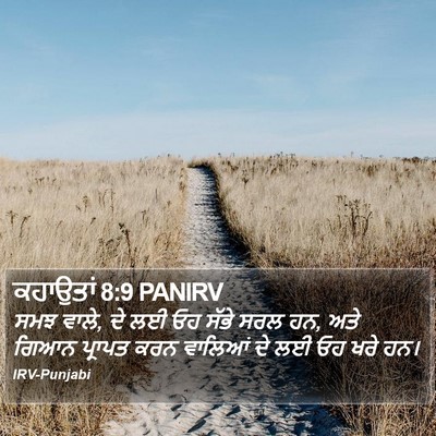 ਕਹਾਉਤਾਂ 8:9 PANIRV Bible Verse Image