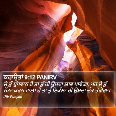 ਕਹਾਉਤਾਂ 9:12 PANIRV Bible Verse Image