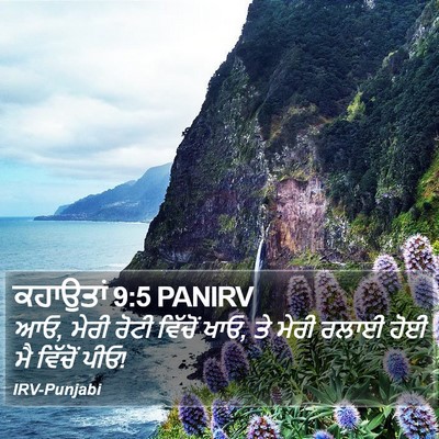 ਕਹਾਉਤਾਂ 9:5 PANIRV Bible Verse Image