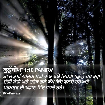 ਕੁਲੁੱਸੀਆਂ 1:10 PANIRV Bible Verse Image