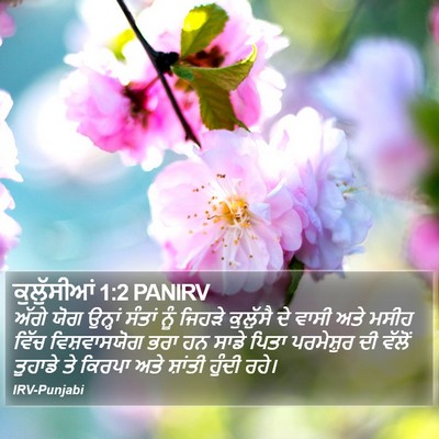 ਕੁਲੁੱਸੀਆਂ 1:2 PANIRV Bible Verse Image