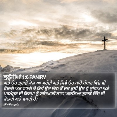 ਕੁਲੁੱਸੀਆਂ 1:6 PANIRV Bible Verse Image