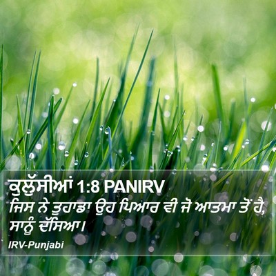 ਕੁਲੁੱਸੀਆਂ 1:8 PANIRV Bible Verse Image
