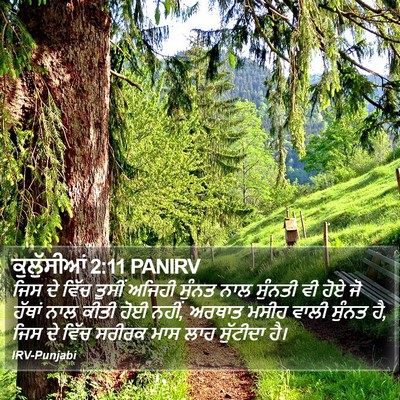 ਕੁਲੁੱਸੀਆਂ 2:11 PANIRV Bible Verse Image