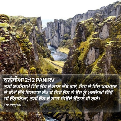 ਕੁਲੁੱਸੀਆਂ 2:12 PANIRV Bible Verse Image
